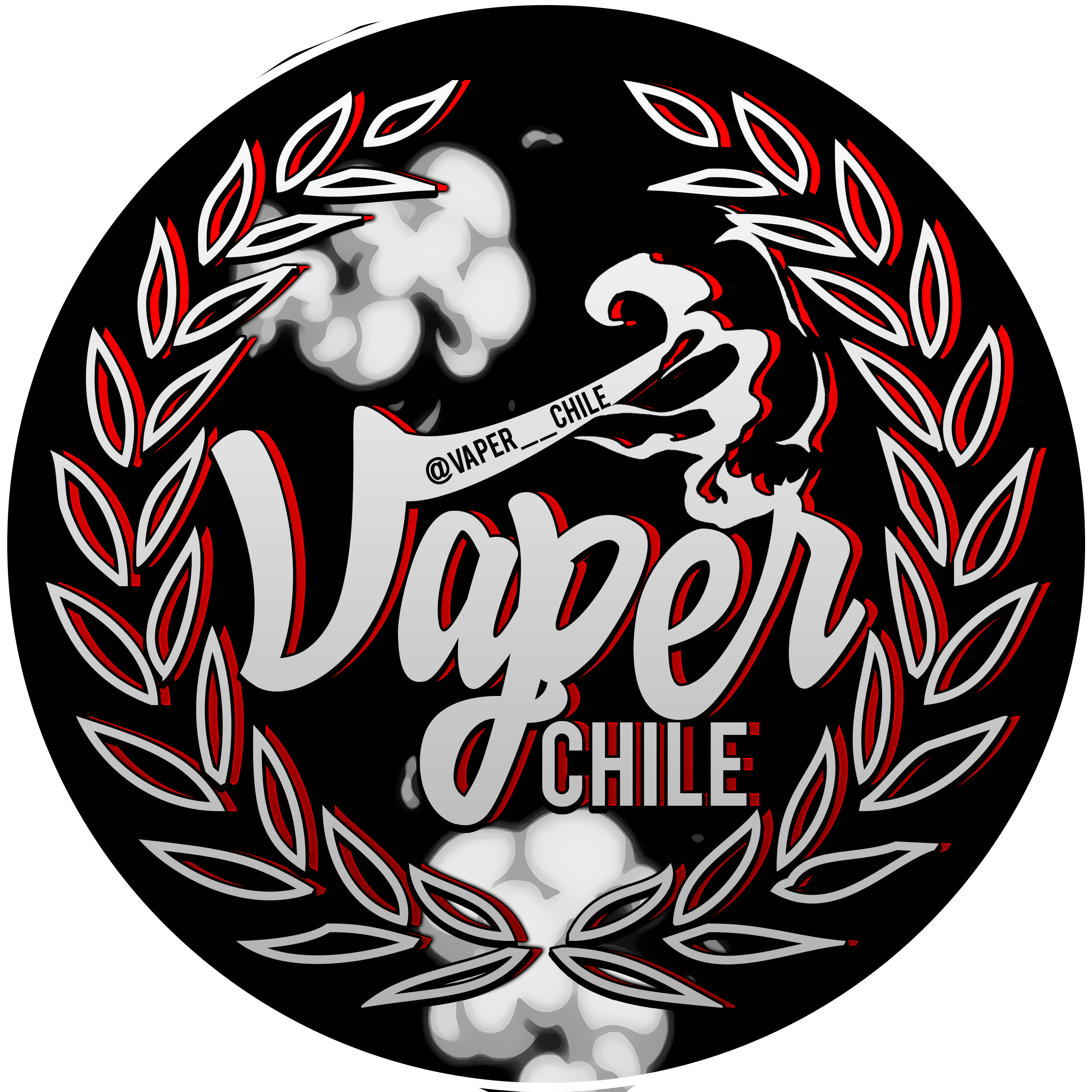 Vaper Chile Store